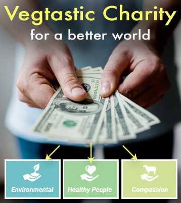 Vegtastic Charity for a better world